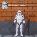 Star Wars Clone Trooper – 501st & 187th Legion (3.75" 1/18 Scale Action Figure, Loose)