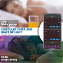 RGB LED Strip Lights – Smart App Control (5m–30m)